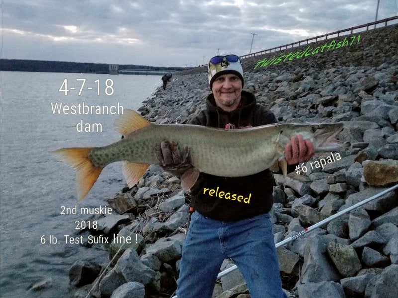 Musky Fishing Report Westbranch.