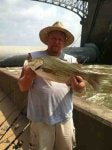 Fish Fish Bass Trout Fishing