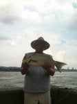 Fish Fish Bass Fisherman Recreation