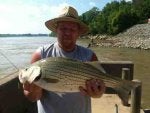 Fish Fishing Fish Recreational fishing Fisherman