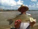 Fish Fish Fisherman Fishing Bass