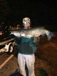 ImageUploadedByOhub Campfire1375207696.951474.jpg