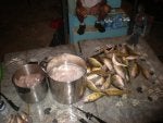 Fish Seafood Fish Food