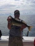 Fish Fishing Bass Sound Cod