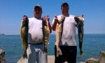 Fish Fishing Bass Recreation Recreational fishing